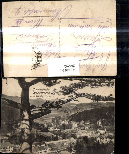 266592,Weissenbahn a. d. Triestung Baum i. Vordergrund