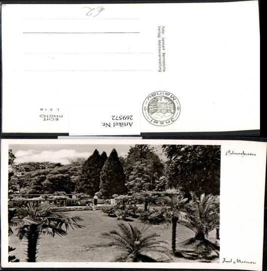 269572, Mainau Island in Lake Constance, Palm Grove