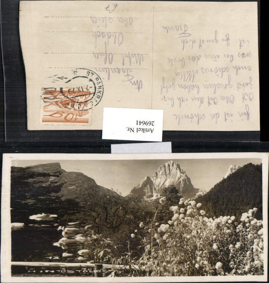 269641,Hinterstoder Blumenwiese Bergkulisse