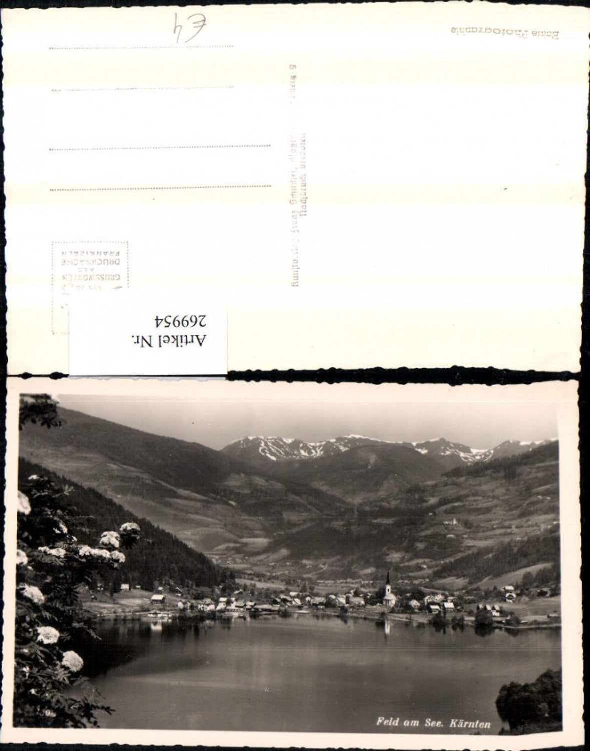 269954,Feld am See Totale Bergkulisse
