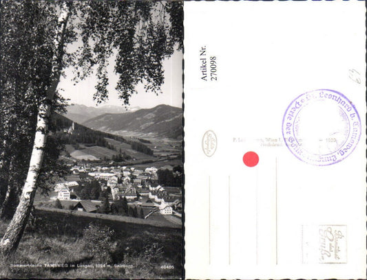 270098,Tamsweg im Lungau Totale Birke