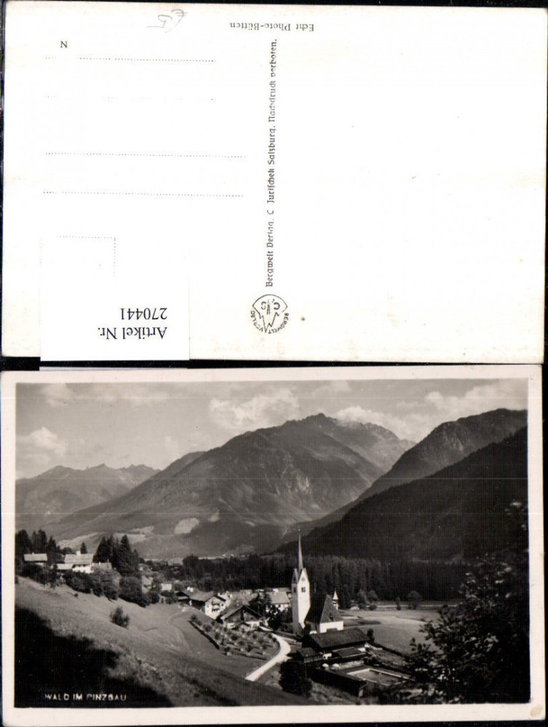 270441,Wald im Pinzgau Totale Bergkulisse