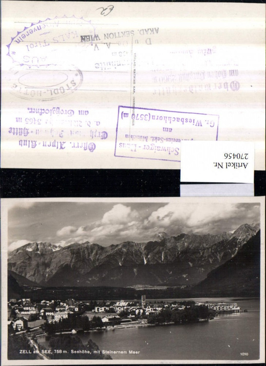 270456,Zell am See Totale m. Steinernem Meer Bergkulisse