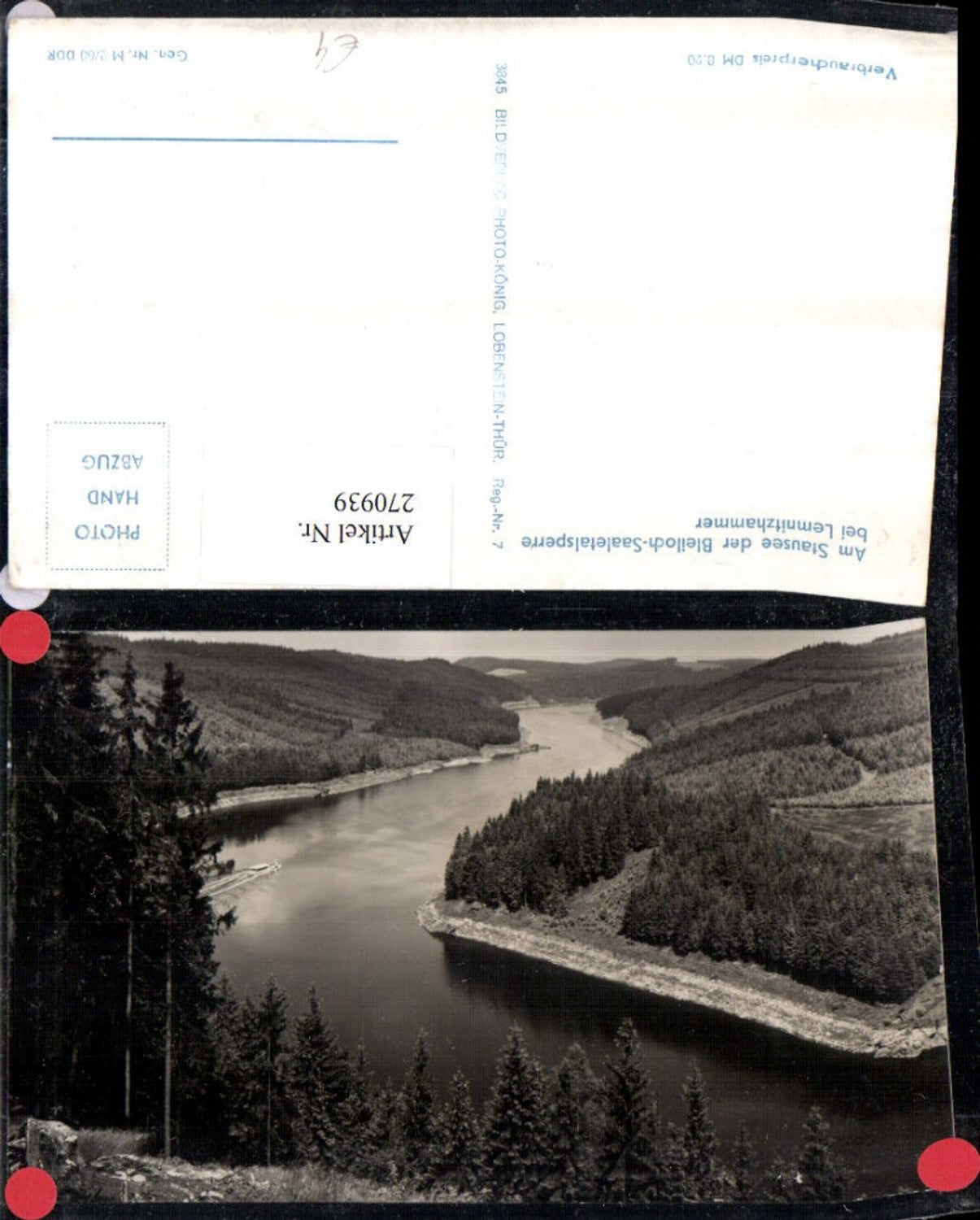 270939,Am Stausee der Bleiloch-Saaletalsperre b. Lemnitzhammer