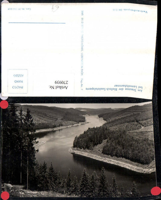 270939,Am Stausee der Bleiloch-Saaletalsperre b. Lemnitzhammer