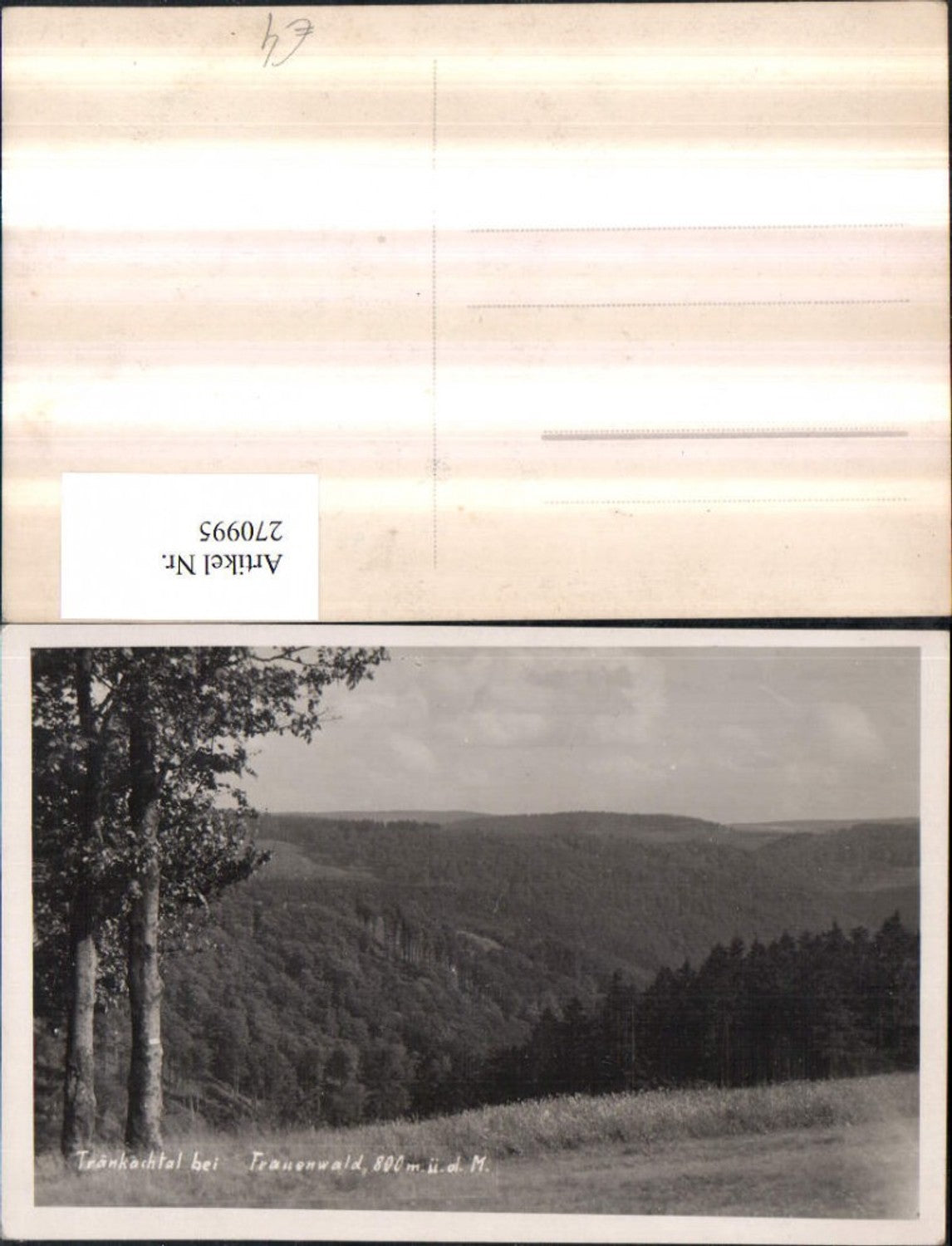 270995,Tränkachtal b. Frauenwald