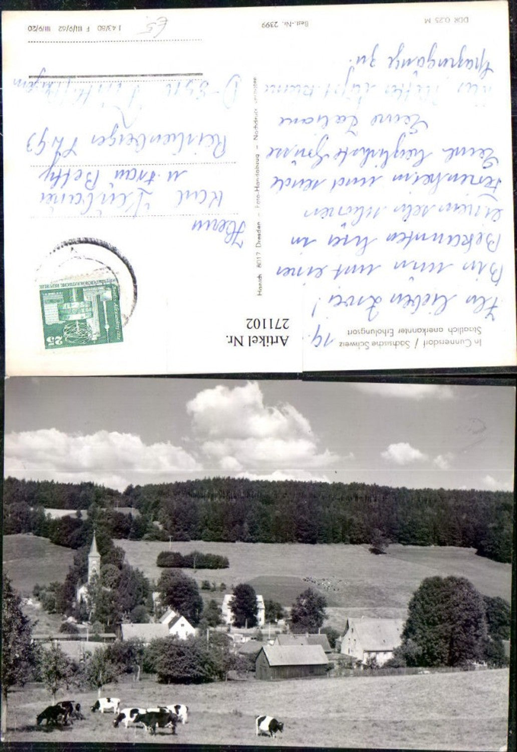 271102,Cunnersdorf in d. Sächsischen Schweiz Totale Rinder