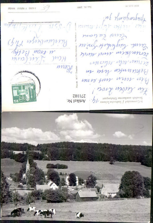 271102,Cunnersdorf in d. Sächsischen Schweiz Totale Rinder