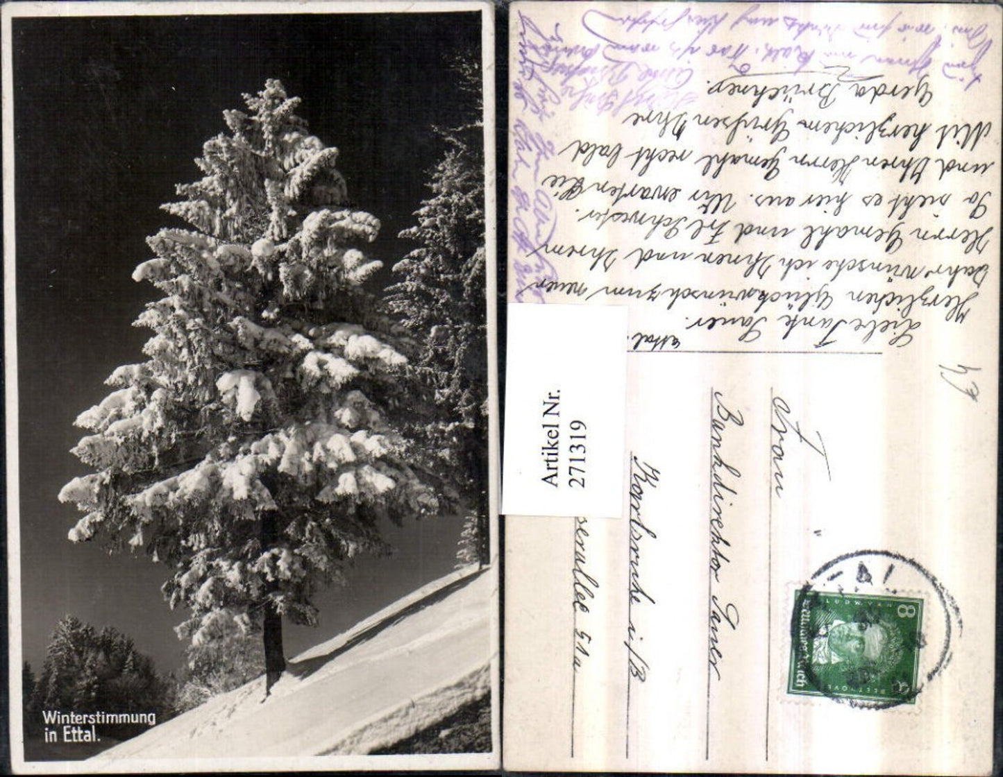 271319,Ettel Winterbild Baum