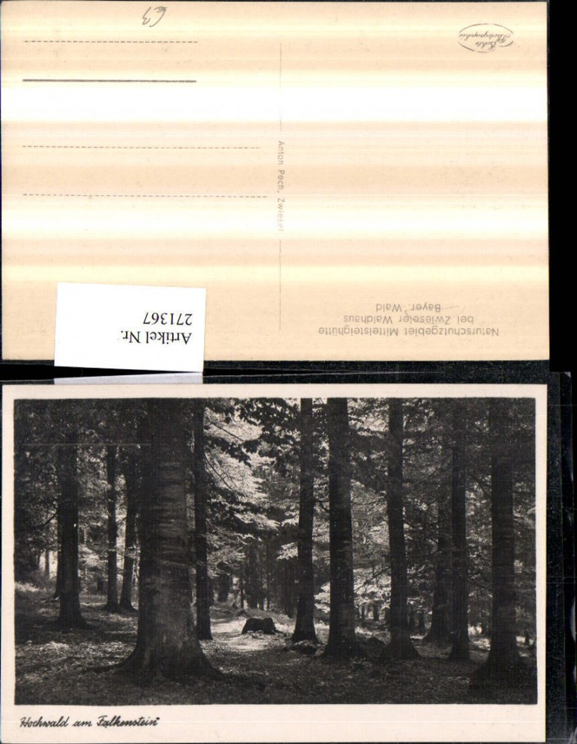 271367,Hochwald am Falkenstein Naturschutzgebiet Mittelsteighütte b. Zwieseler Waldhaus Lindberg
