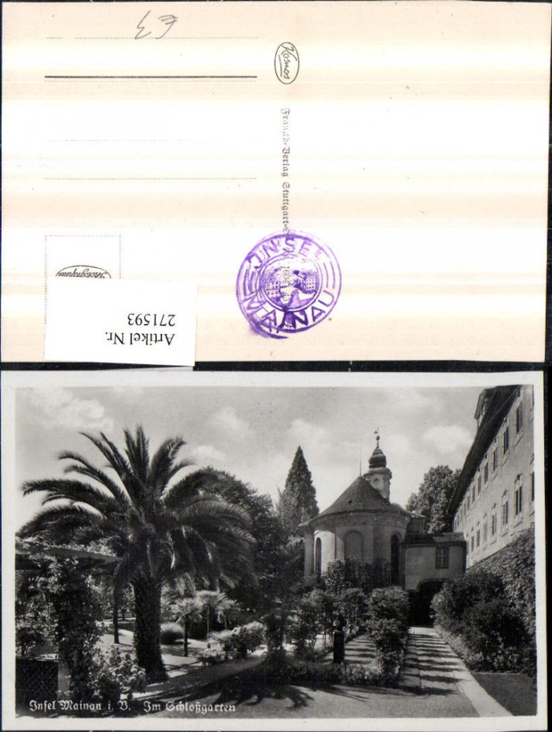 271593,Insel Mainau im Bodensee Im Schlossgarten Palme