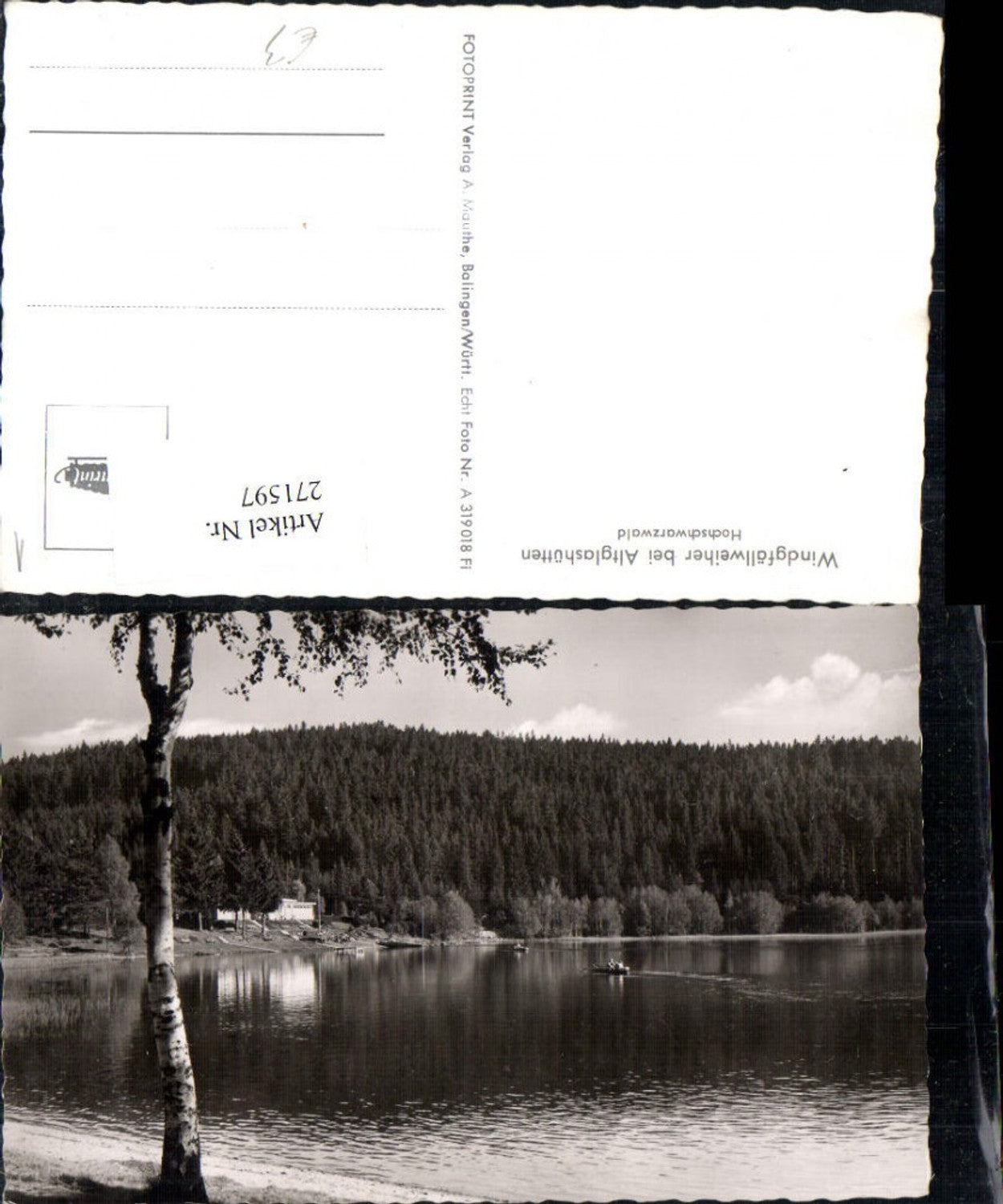 271597,Windgfällweiher b. Altglashütten im Hochschwarzwald Partie