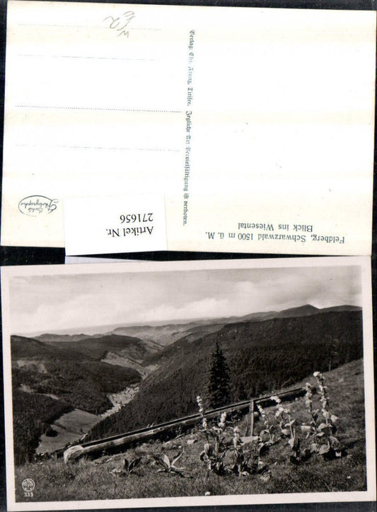 271656, Feldberg in the Black Forest, view into the Wiesental valley