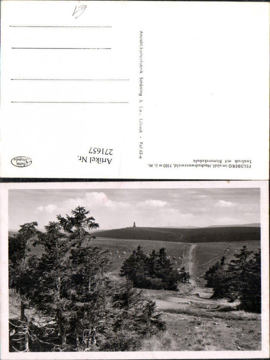 271657, Feldberg in the Black Forest, Seebuck with Bismarck Column