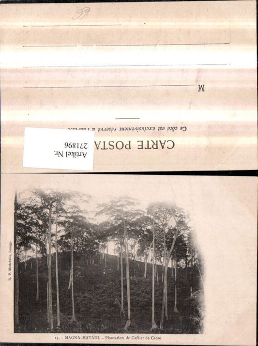 271896,Kongo Magna Matadi Plantation de Cafe et de Cacao