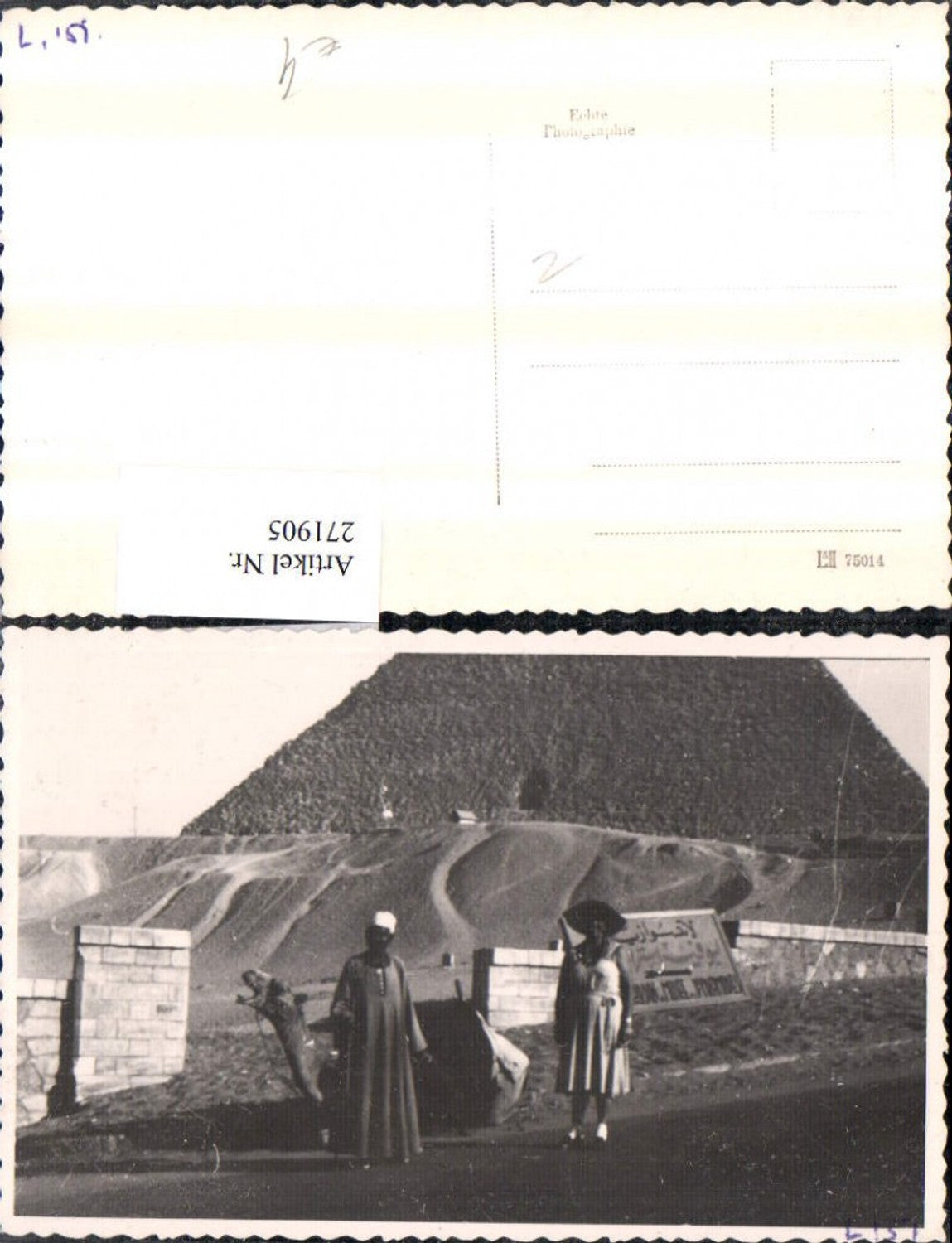 271905,Foto AK Frau m. Hut Kleid Volkstype Kamel Pyramide