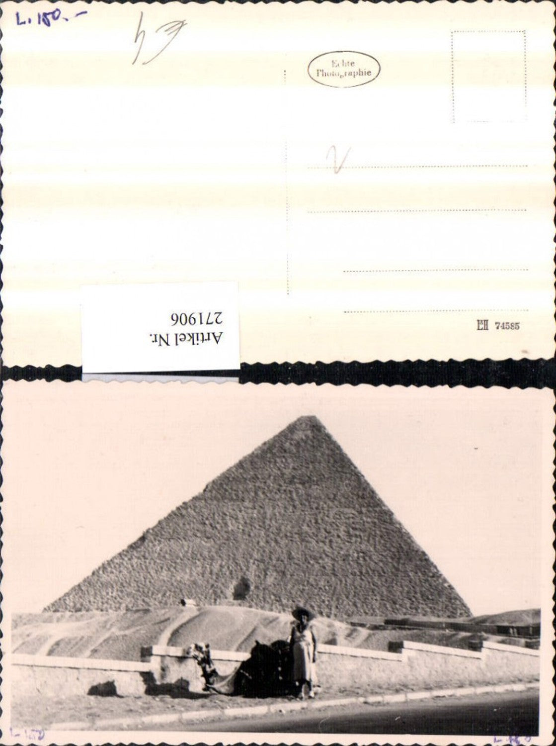 271906, Photo AK Woman with hat, dress, camel, pyramid