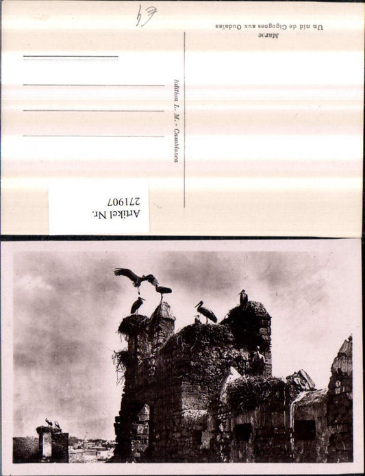 271907,Marokko Maroc Un nid de cigognes aux Oudaias Störche Storch Ruine