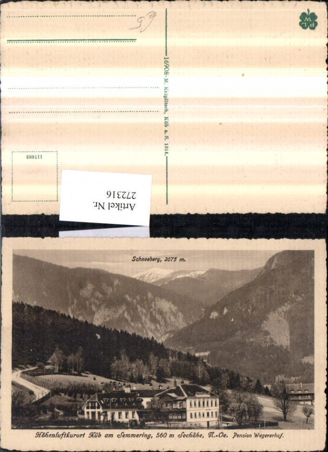 272316,Küb am Semmering Pension Wegererhof m. Schneeberg Bergkulisse