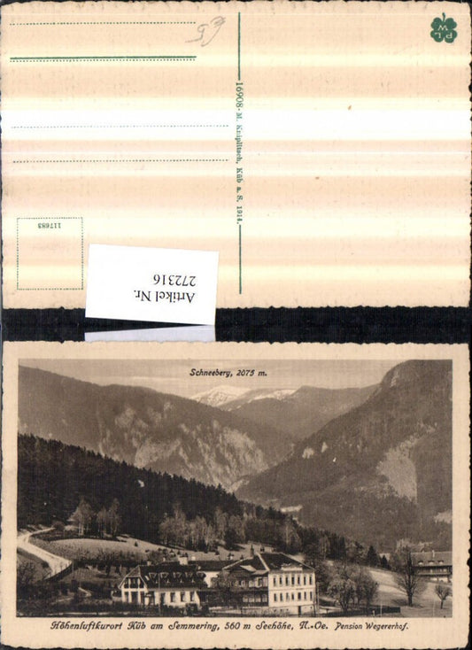 272316,Küb am Semmering Pension Wegererhof m. Schneeberg Bergkulisse