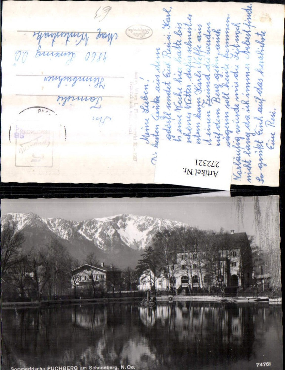 272321,Puchberg am Schneeberg Teich Bergkulisse