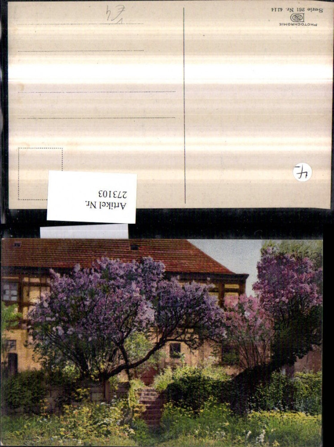 273103,Photochromie Nenke & Ostermaier 261/4114 Hausansicht Flieder