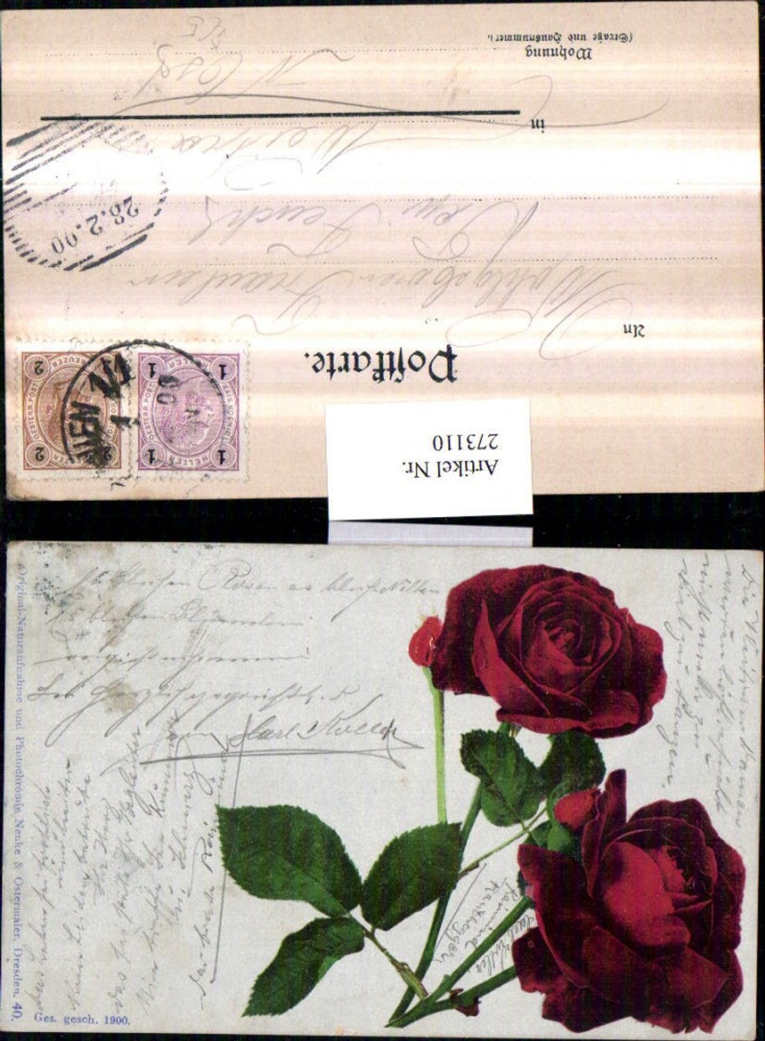 273110,Photochromie Nenke & Ostermaier 40 Rosen Rosenblüte