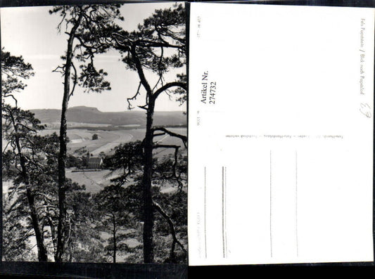 274732,Fels Papststein Blick nach Papstdorf