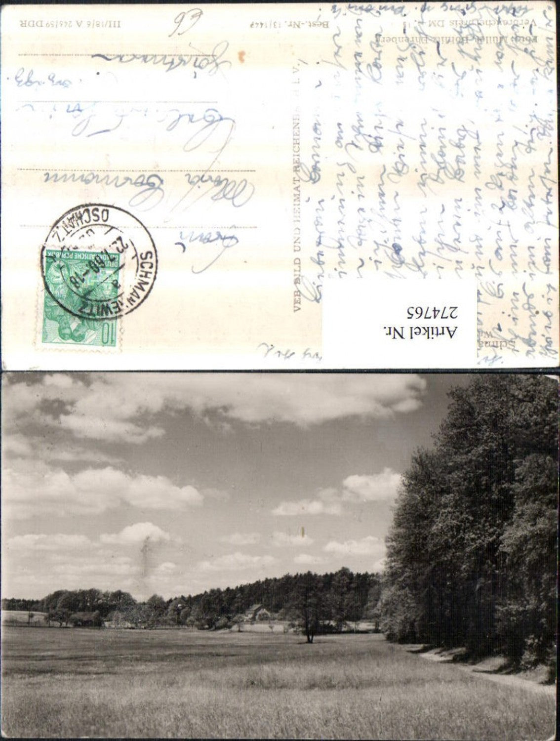 274765,Schmannewitz Waldweg zum Forstteich Landschaft