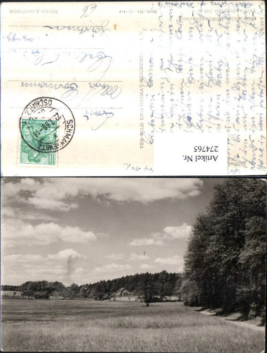 274765,Schmannewitz Waldweg zum Forstteich Landschaft