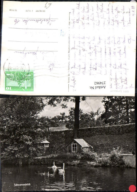 274962,Lückendorf im Zittauer Gebirge Schwanenteich Schwäne