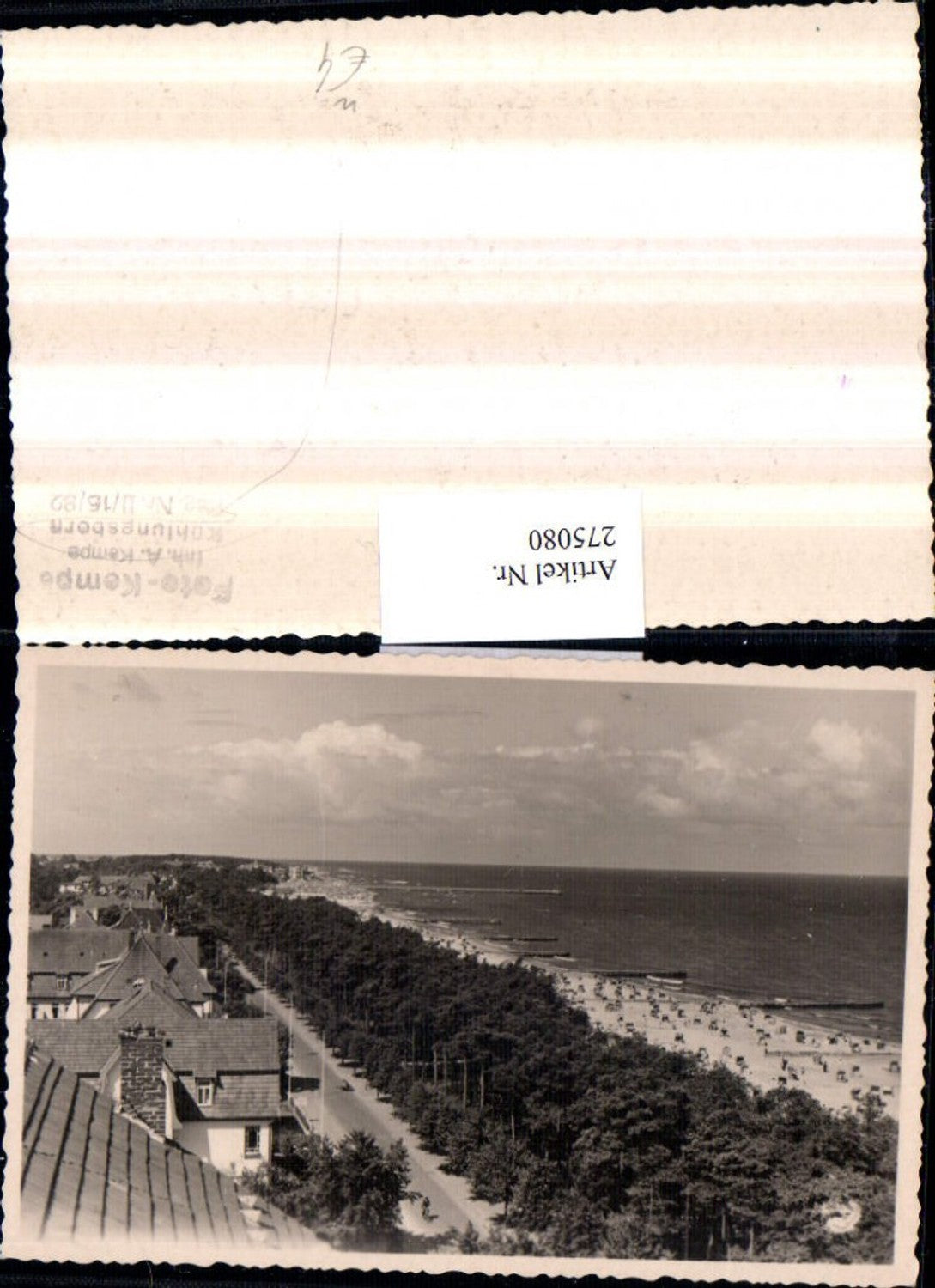 275080,Foto AK Kühlungsborn Blick auf d. Strand