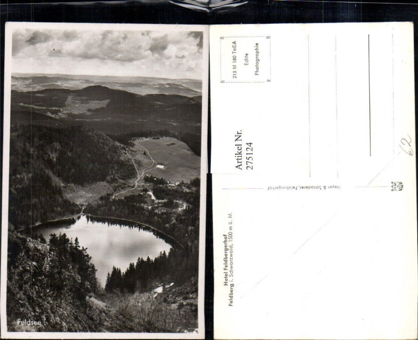 275124, Feldsee Lake near Feldberg in the Black Forest