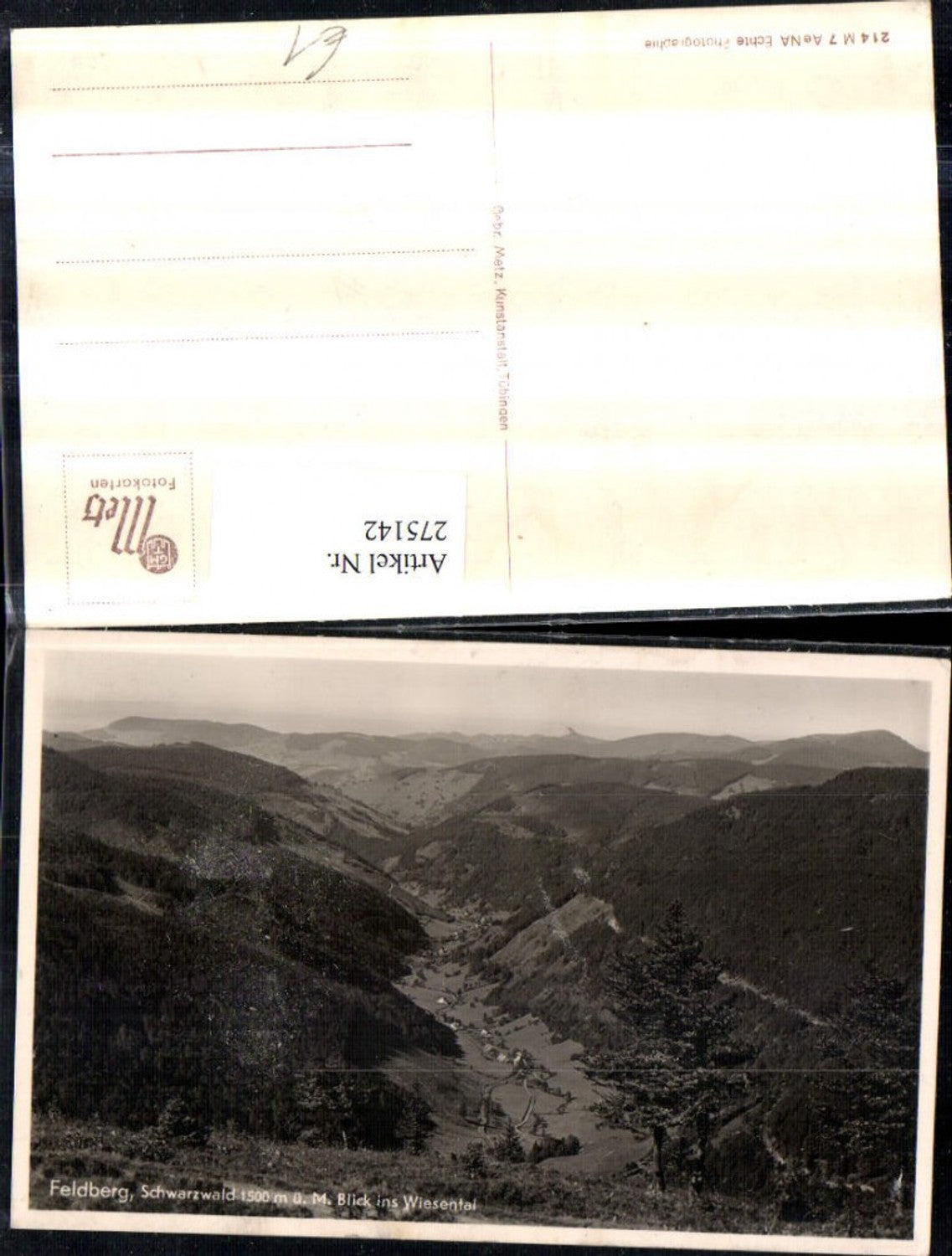 275142,Feldberg im Schwarzwald Blick ins Wiesental Totale
