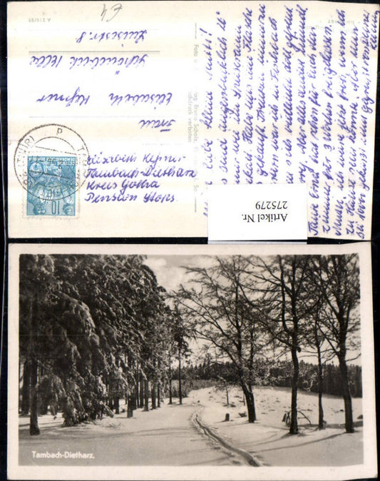 275279, Tambach-Dietharz, forest path, winter scene