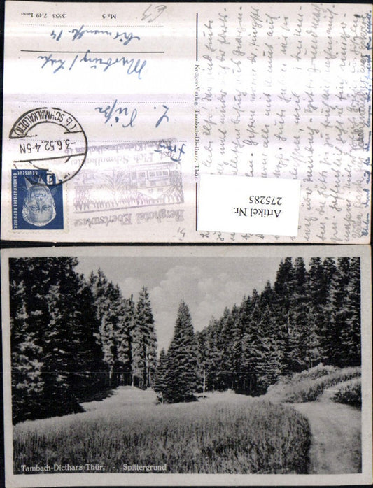 275285, Tambach-Dietharz in Thuringia Spittergrund Forest path