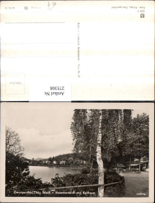 275308, Georgenthal in the Thuringian Forest, Hammerteich pond with spa building