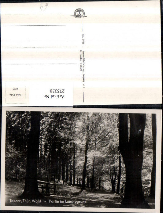 275330, Tabarz, section in Lauchagrund, path section, forest