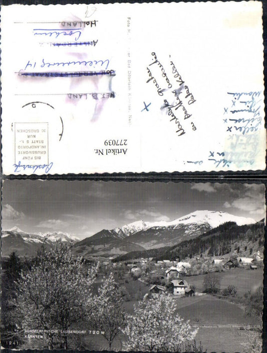 277039,Laubendorf in Kärnten Totale Baumblüte Bergkulisse