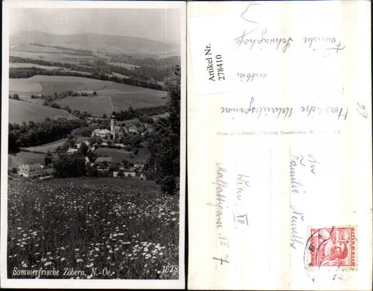 278410,Zöbern Totale Blumenwiese