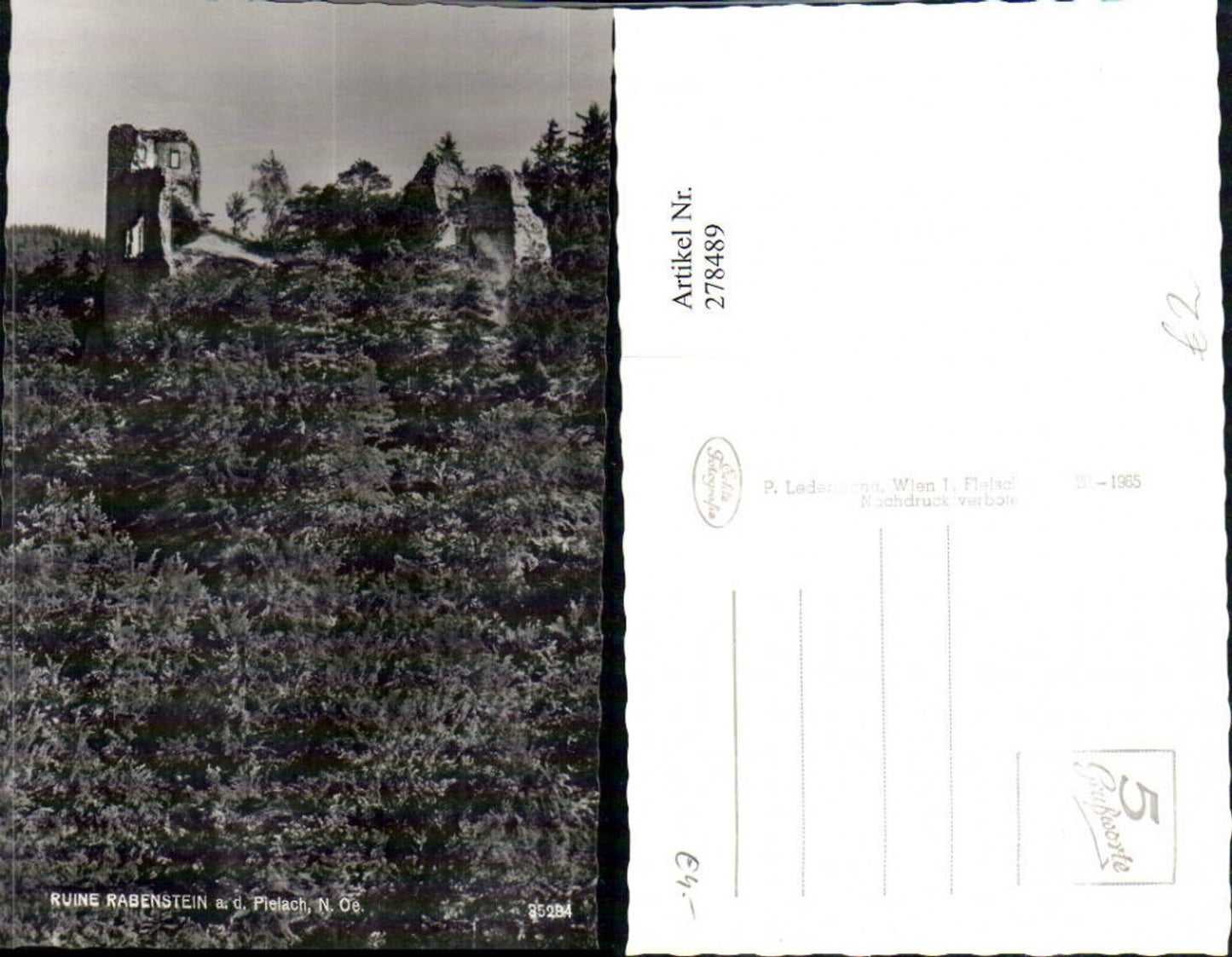 278489,Ruine Rabenstein an d. Pielach