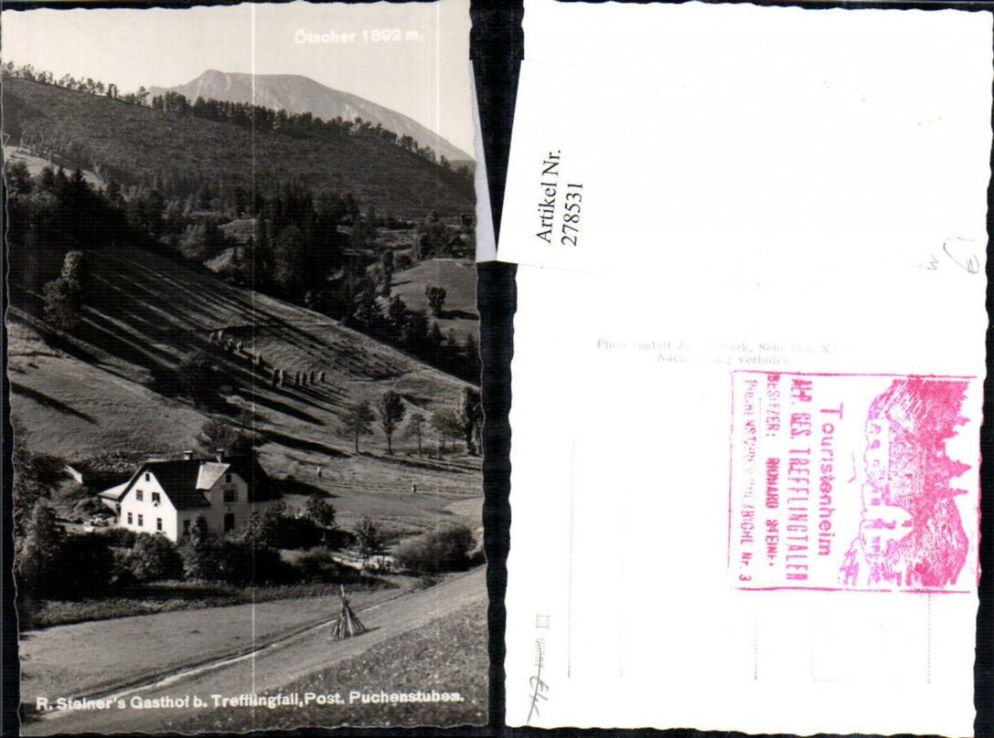 278531,R. Steiners Gasthof b. Trefflingfall m. Ötscher b. Puchenstuben