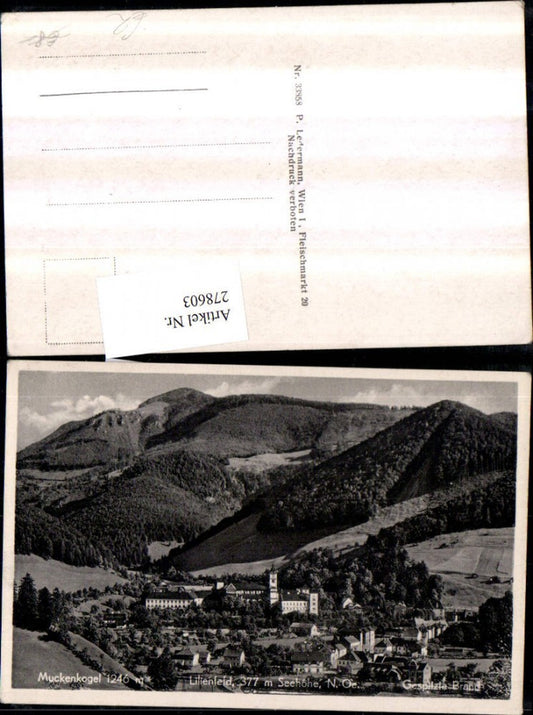 278603,Lilienfeld Totale m. Muckenkogel u. Gespitzte Brand