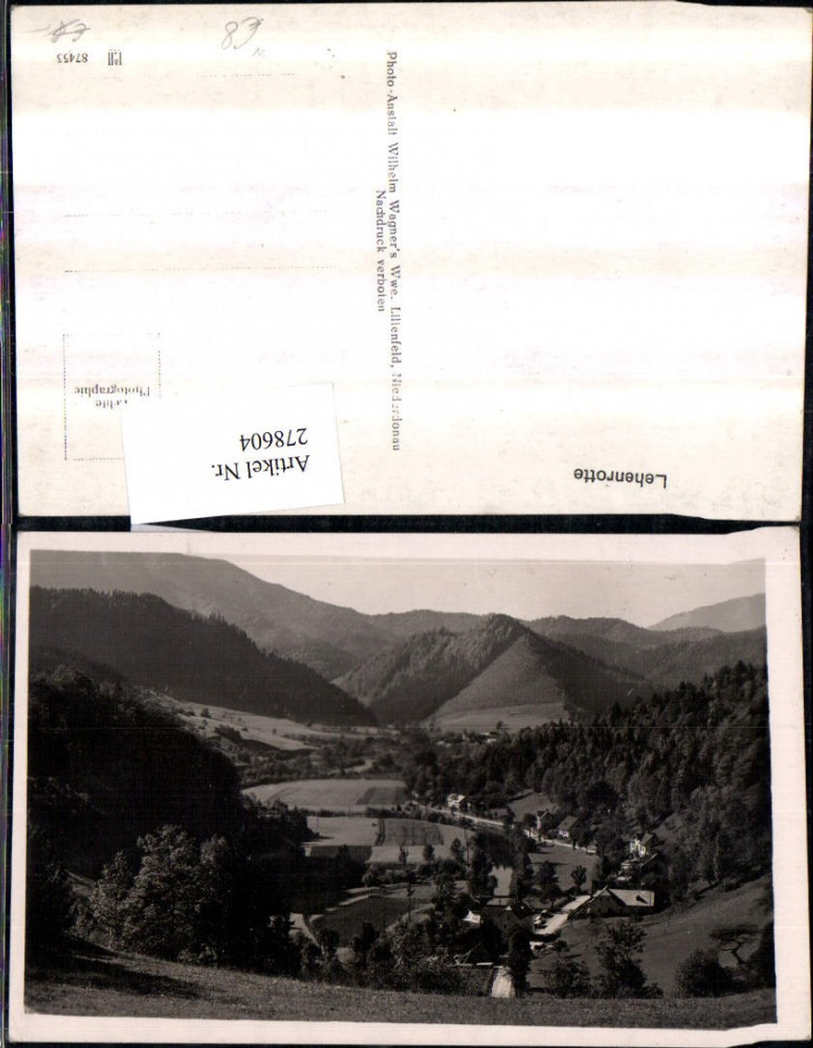 278604,Lehenrotte b. Türnitz Bergkulisse