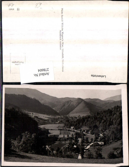 278604,Lehenrotte b. Türnitz Bergkulisse