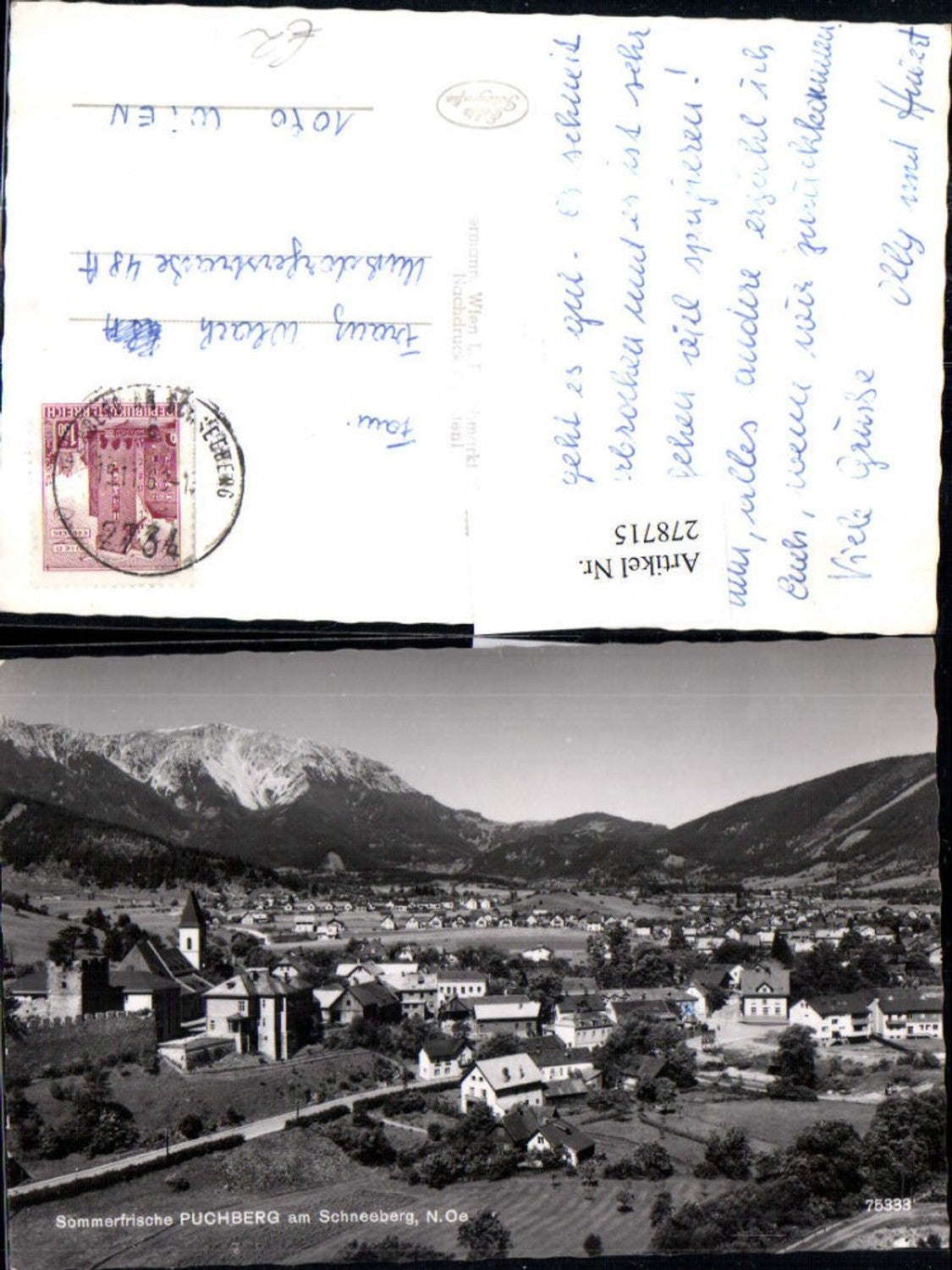 278715,Puchberg am Schneeberg Totale Bergkulisse