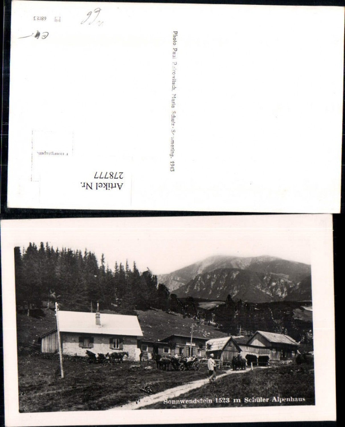 278777,Sonnwendstein Schüler Alpenhaus Bergkulisse b. Semmering
