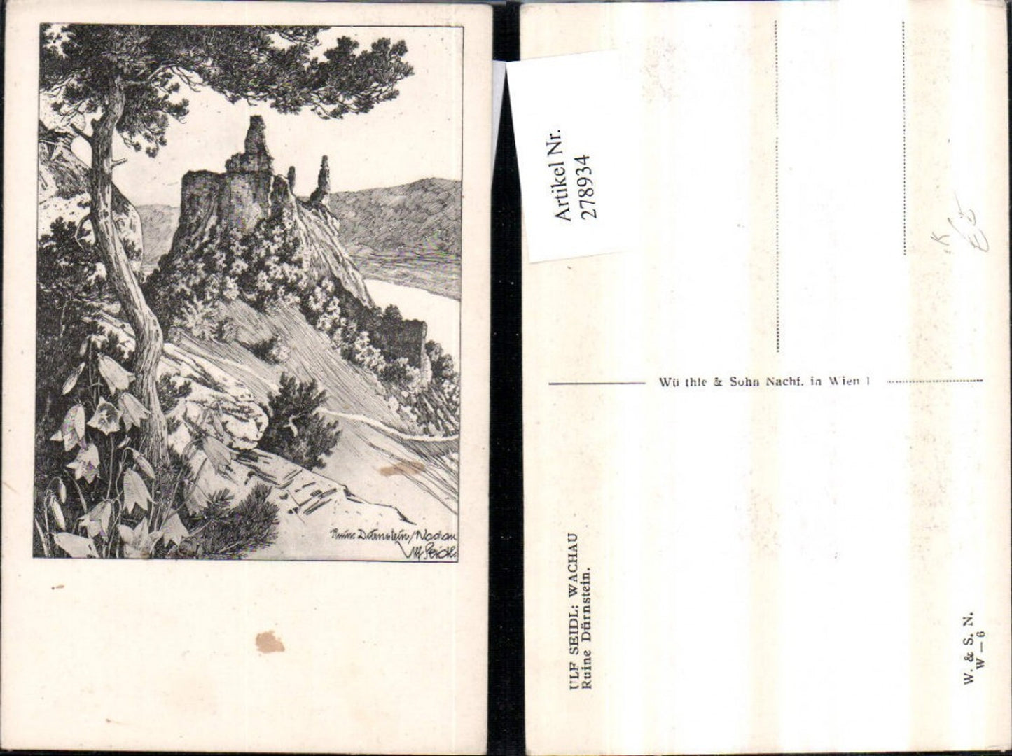 278934,Künstler AK Ulf Seidl Wachau Ruine Dürnstein