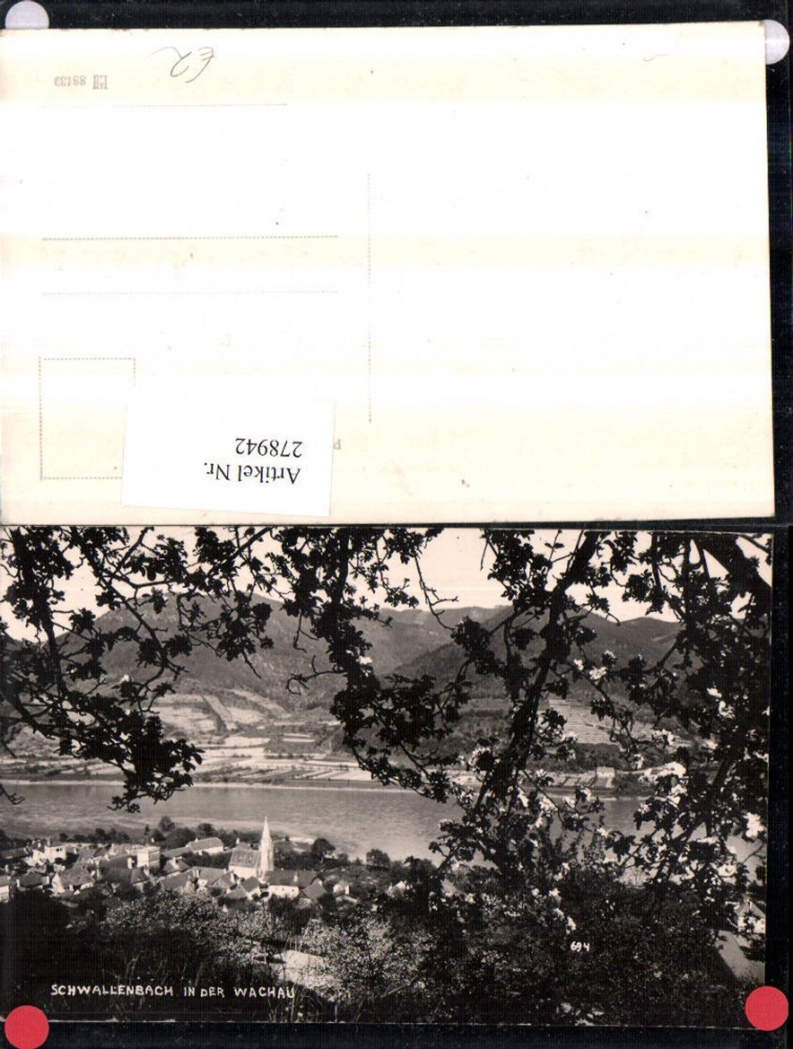 278942,Schwallenbach in d. Wachau Totale Baumblüte