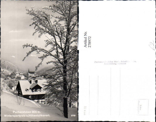 278972,Puchenstuben Totale Winterbild